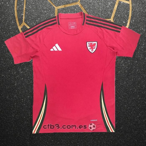 Camiseta Gales Primera 2024